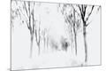 Photographic Print