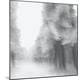 Photographic Print