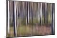 Premium Photographic Print