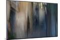 Premium Photographic Print