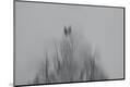 Premium Photographic Print