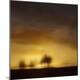 Premium Photographic Print