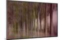 Premium Photographic Print