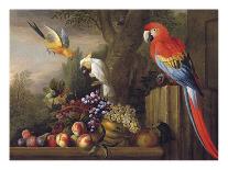 Parrots Of Paradise-Jacob Bogdani-Premium Giclee Print