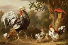 Poultry and Other Birds in the Garden of a Mansion-Jacob Bogdany-Mounted Giclee Print