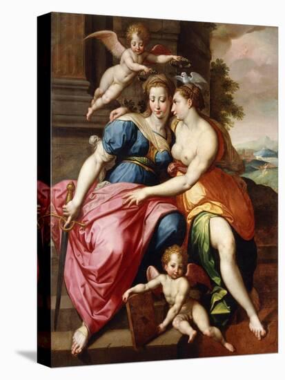 Stretched Canvas Print, , large