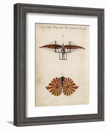 Jacob Degen's "Flapping Wings" Design-null-Framed Art Print