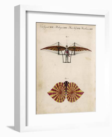 Jacob Degen's "Flapping Wings" Design-null-Framed Art Print