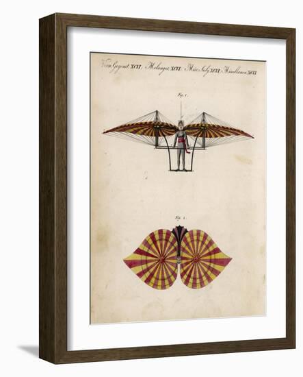 Jacob Degen's "Flapping Wings" Design-null-Framed Art Print