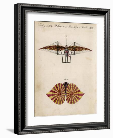 Jacob Degen's "Flapping Wings" Design-null-Framed Art Print