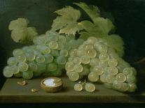 Grapes with Half a Walnut-Jacob Foppens Van Es-Mounted Giclee Print