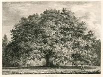 The Cedar in the Palace Garden at Enfield, Middlesex-Jacob George Strutt-Giclee Print