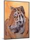 Premium Giclee Print