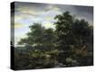 Stretched Canvas Print