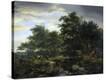 Stretched Canvas Print