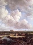 View of Haarlem with Bleaching Grounds-Jacob Isaaksz or Isaacksz van Ruisdael-Giclee Print
