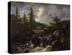 Stretched Canvas Print