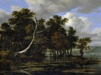 Landscape with Cascade, 1670s-Jacob Isaaksz Ruisdael-Giclee Print