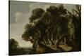 Stretched Canvas Print