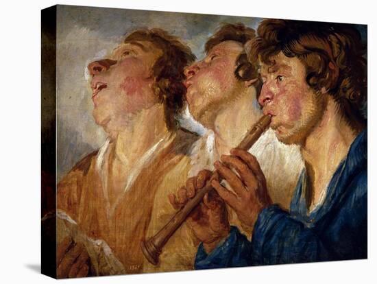 Stretched Canvas Print, , large