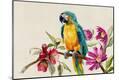 Premium Giclee Print
