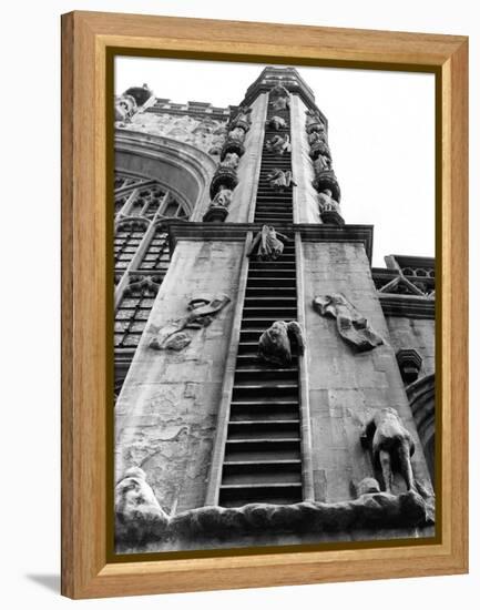 Jacob's Ladder-null-Framed Premier Image Canvas