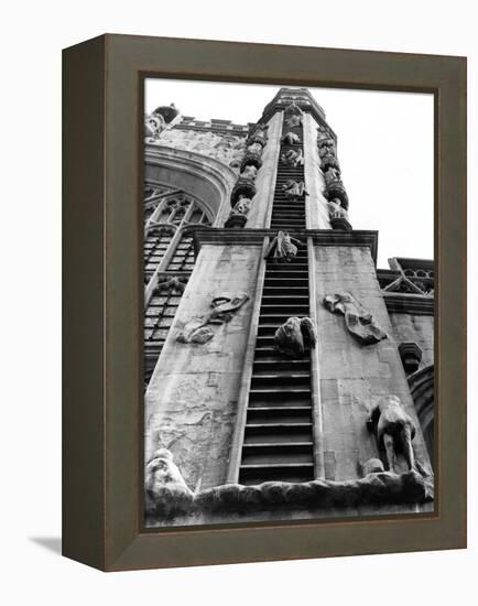 Jacob's Ladder-null-Framed Premier Image Canvas