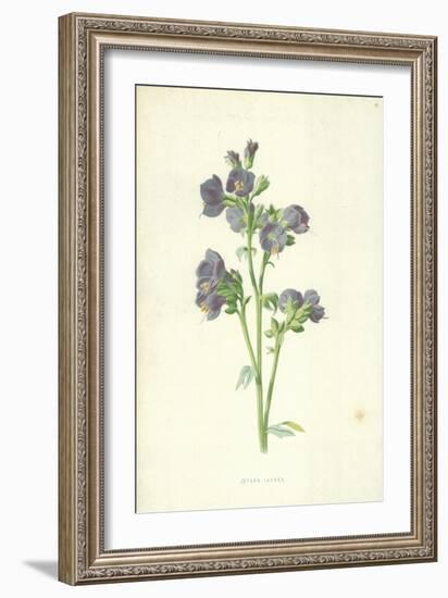 Jacob's Ladder-Frederick Edward Hulme-Framed Giclee Print