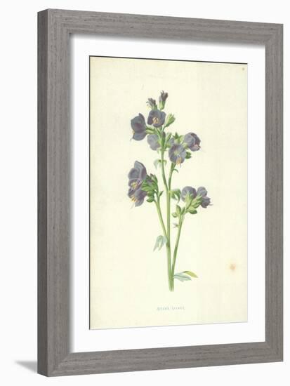 Jacob's Ladder-Frederick Edward Hulme-Framed Giclee Print