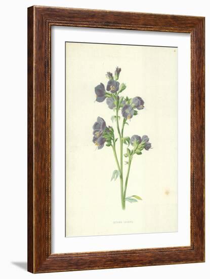 Jacob's Ladder-Frederick Edward Hulme-Framed Giclee Print