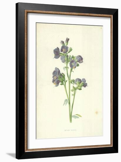 Jacob's Ladder-Frederick Edward Hulme-Framed Giclee Print