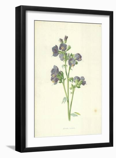 Jacob's Ladder-Frederick Edward Hulme-Framed Giclee Print