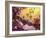 Jacob's Ladder-Pat Nicolle-Framed Giclee Print