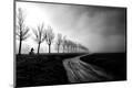 Photographic Print