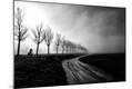 Photographic Print