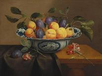 Plums and Apricots in a Wanli Kraak Porselein Bowl with a Carnation, a Rose-Jacob Van Hulsdonck-Giclee Print