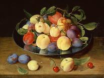 Plums and Peaches on a Pewter Plate-Jacob van Hulsdonck-Giclee Print