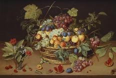 Plums, Peaches and Grapes in a Basket with Carnations and Other Flowers in a Roemer, with…-Jacob Van Hulsdonck-Giclee Print