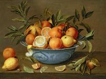 Plums and Peaches on a Pewter Plate-Jacob van Hulsdonck-Framed Giclee Print