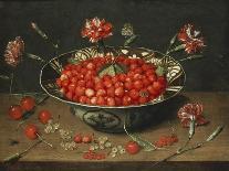 Plums, Peaches and Grapes in a Basket with Carnations and Other Flowers in a Roemer, with…-Jacob Van Hulsdonck-Framed Giclee Print
