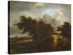 Stretched Canvas Print