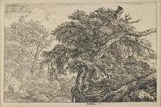The Bush, Ca. 1650-82-Jacob van Ruisdael-Art Print