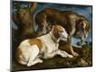 Premium Giclee Print