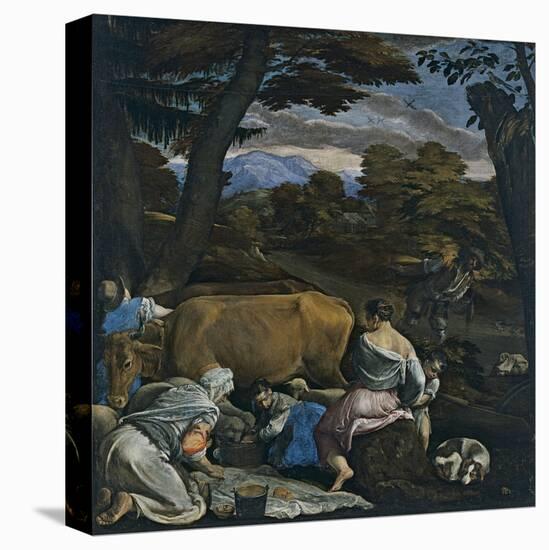 Stretched Canvas Print, , large