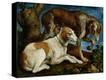 Stretched Canvas Print