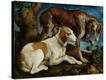 Stretched Canvas Print