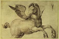 Pegasus-Jacopo de'Barbari-Giclee Print