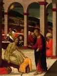 Adoration of the Christ Child-Jacopo Del Sellaio-Art Print