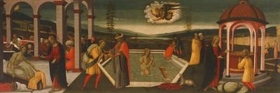 Probatic Pool-Jacopo Del Sellaio-Framed Giclee Print