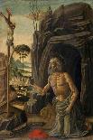 Saint John the Baptist, C.1480-Jacopo Del Sellaio-Framed Giclee Print